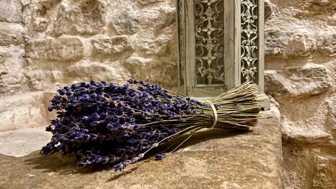La Marisol Villa LʼIsle-sur-la-Sorgue Eksteriør bilde